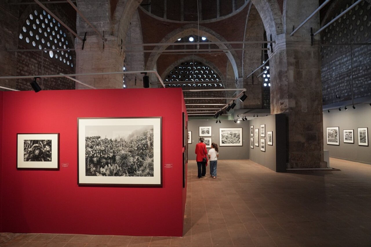 Kültür ve Turizm Bakanlığı tarafından Türkiye'nin marka değerine katkıda bulunmak üzere bu yıl 16...