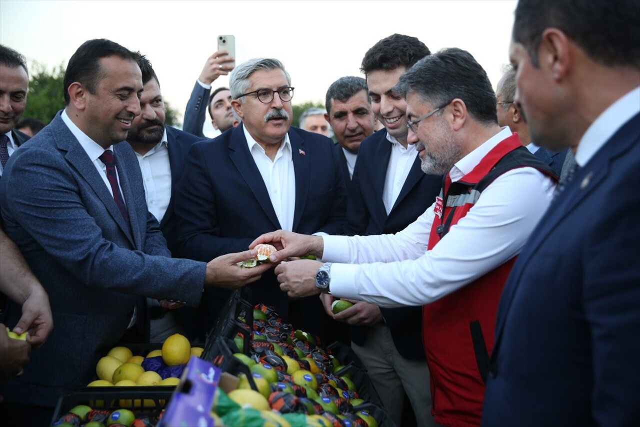 Tarım ve Orman Bakanı İbrahim Yumaklı, Hatay'ın Dörtyol ilçesinde Latif Çınar'a ait narenciye...