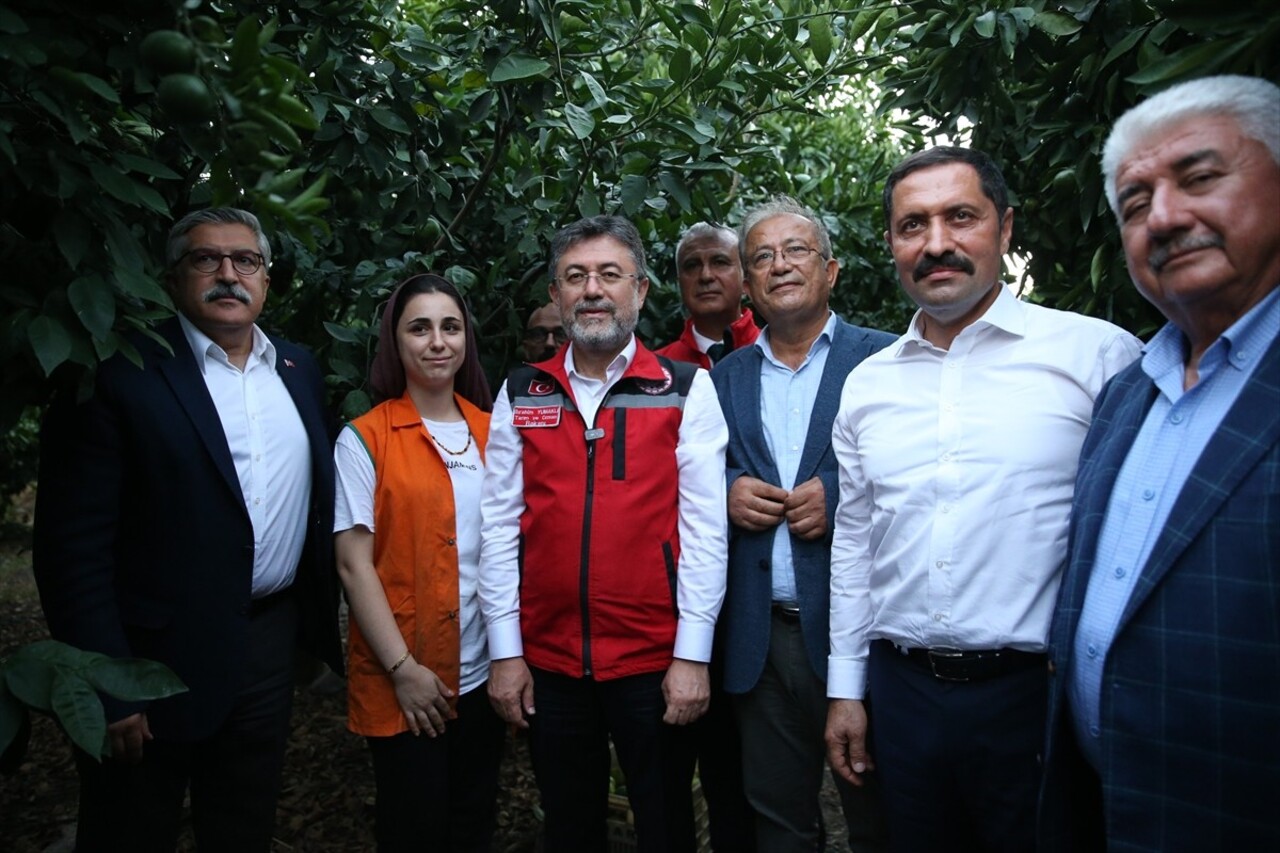 Tarım ve Orman Bakanı İbrahim Yumaklı, Hatay'ın Dörtyol ilçesinde Latif Çınar'a ait narenciye...