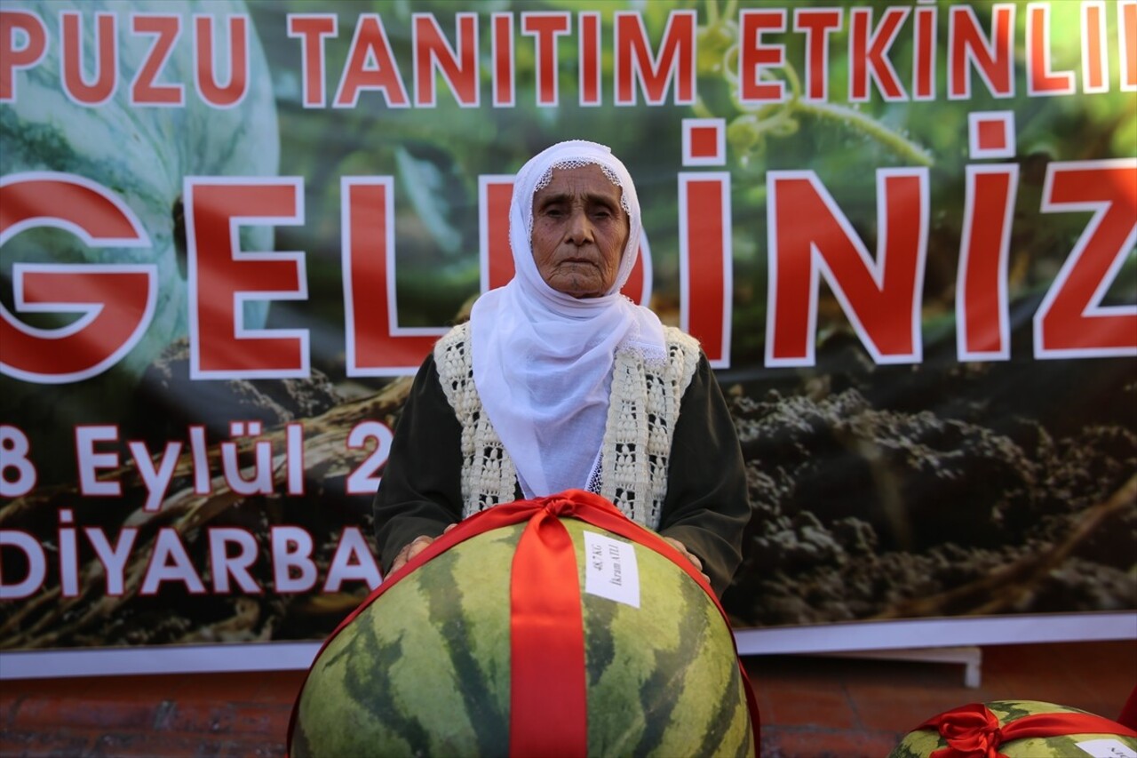 Diyarbakır'da "14. Diyarbakır Karpuzu Tanıtım Etkinlikleri" yapıldı. Karpuz ağırlık yarışmasında...