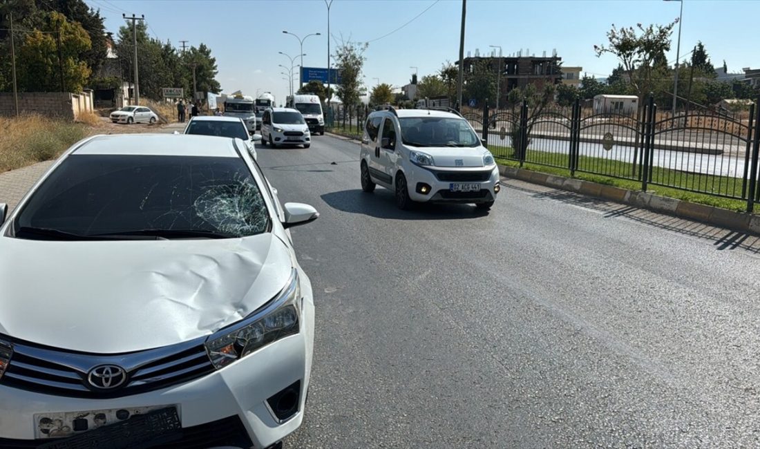 Adıyaman'da yaya geçişi sırasında