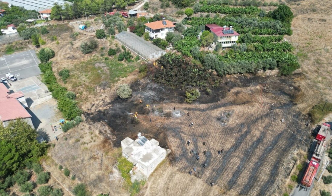 Antalya'nın Gazipaşa ilçesinde çıkan