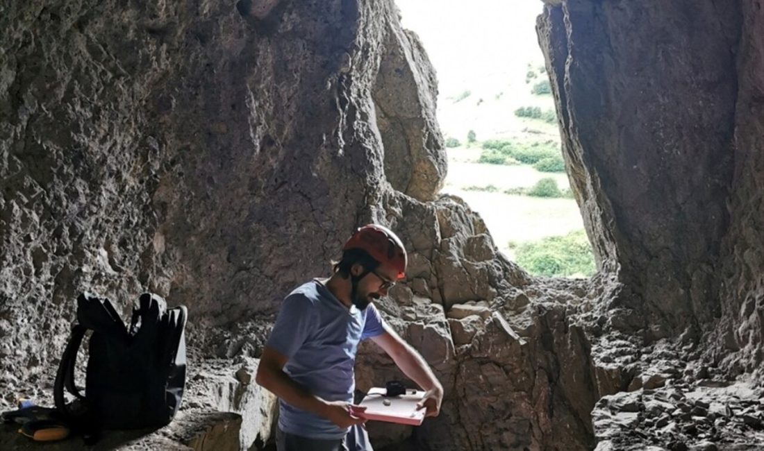 Posof ilçesinde arkeolojik yüzey