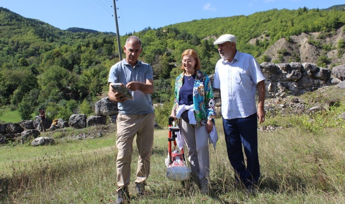 Artvin'de üç arkeolojik kazı