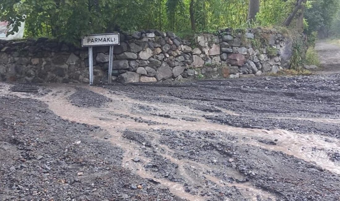 Artvin'de sağanak yağışlar sonucu