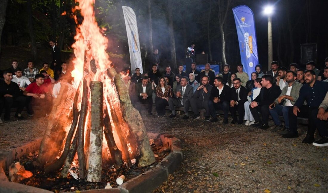 Bakan Tekin, insan hakları