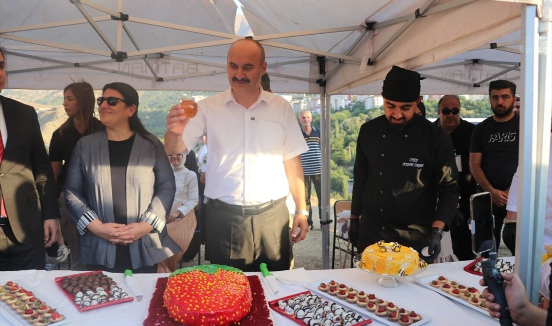 Sason Festivali'nde gerçekleştirilen açık