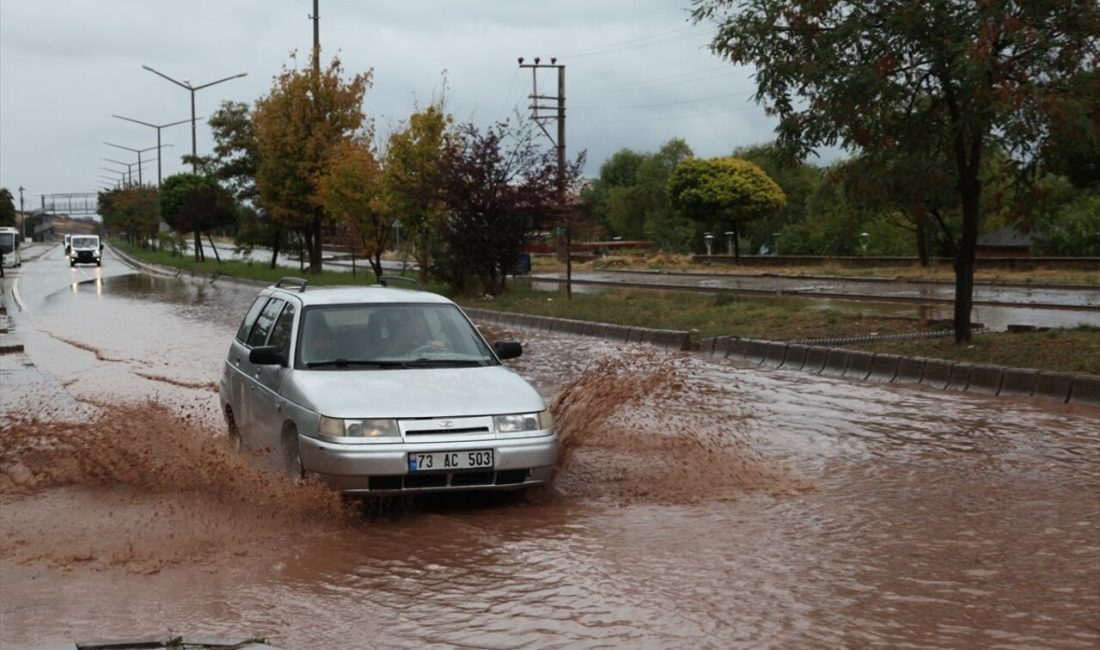 Bitlis'in Ahlat ilçesinde etkili