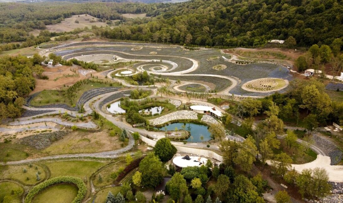 Visoko'daki park, Van Gogh'un