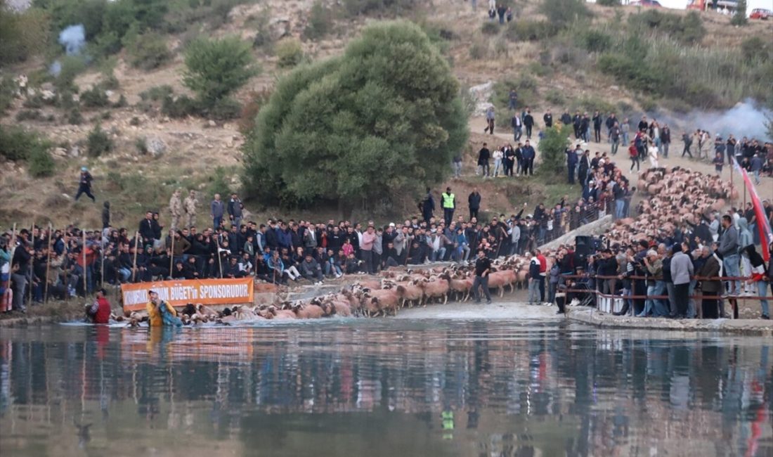 Burdur'un Tefenni ilçesinde 7