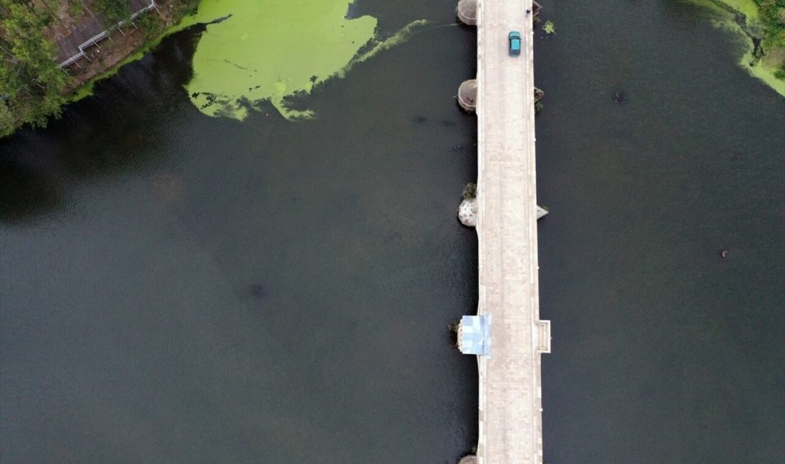 Edirne'deki Tunca Nehri'nin debisi