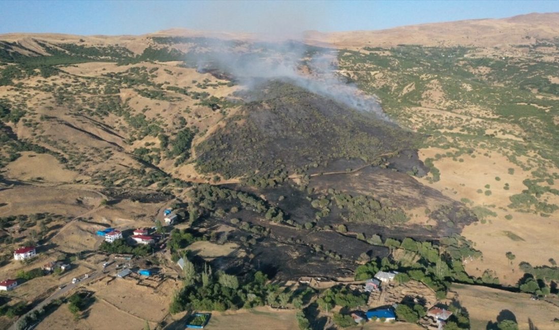 Karakoçan'da çıkan orman yangını