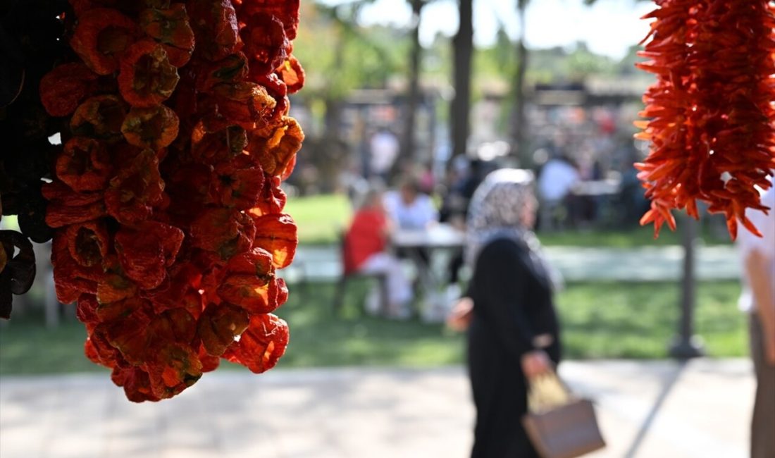 GastroAntep Kültür Yolu Festivali,