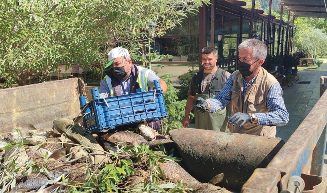 İzmir'deki Gölcük Gölü'nde yaşanan