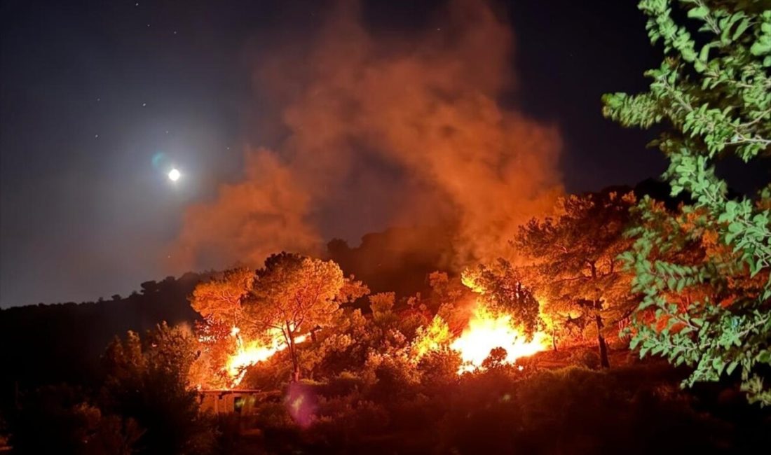 Hatay Kırıkhan'daki orman yangını,