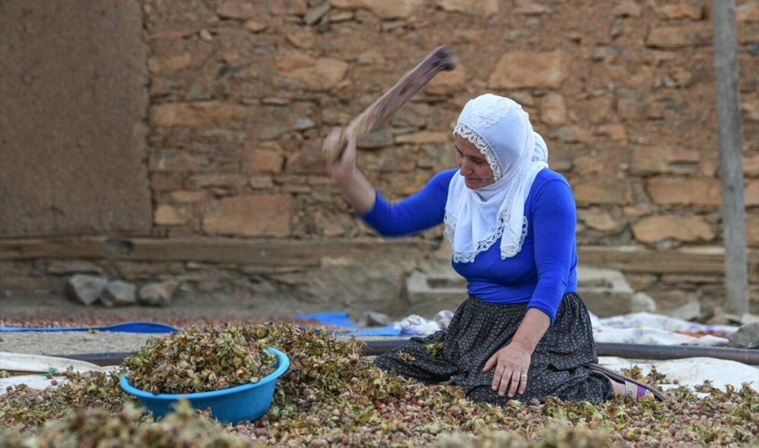 Hizan'da çiftçiler, zor şartlar