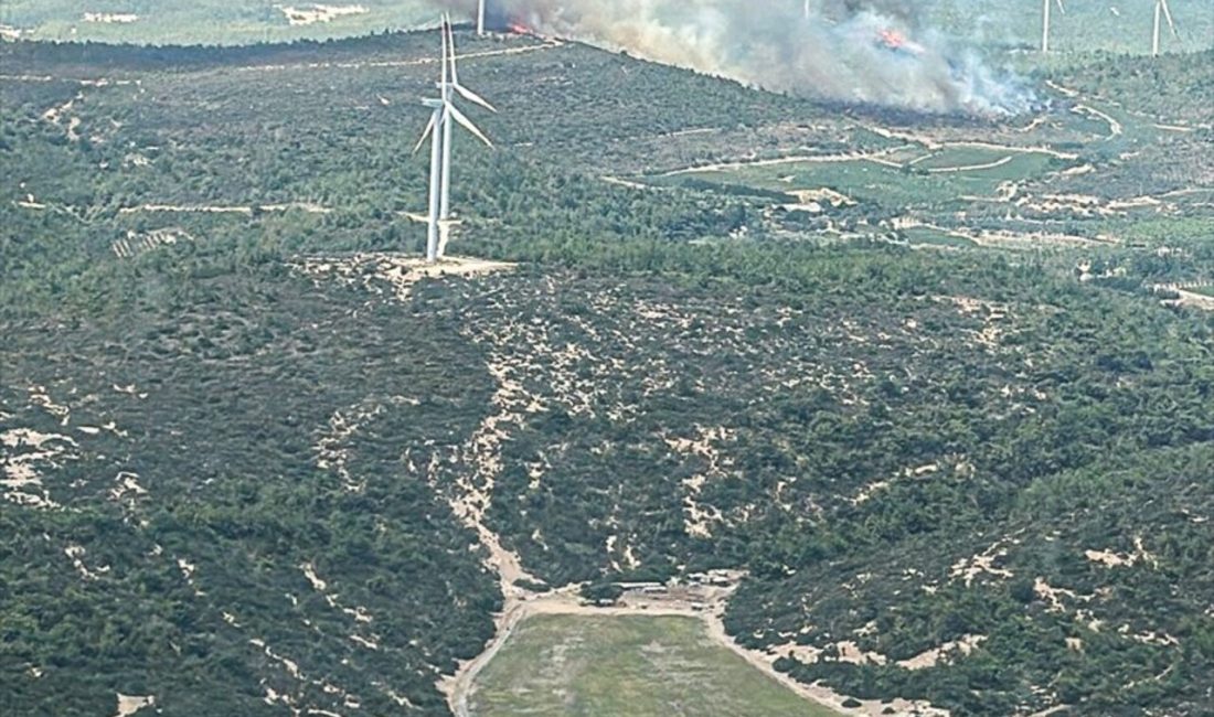 Urla'daki orman yangını, müdahale