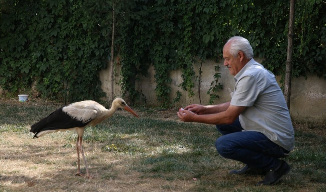 Kahramanmaraş'ta düşerek yaralanan bir