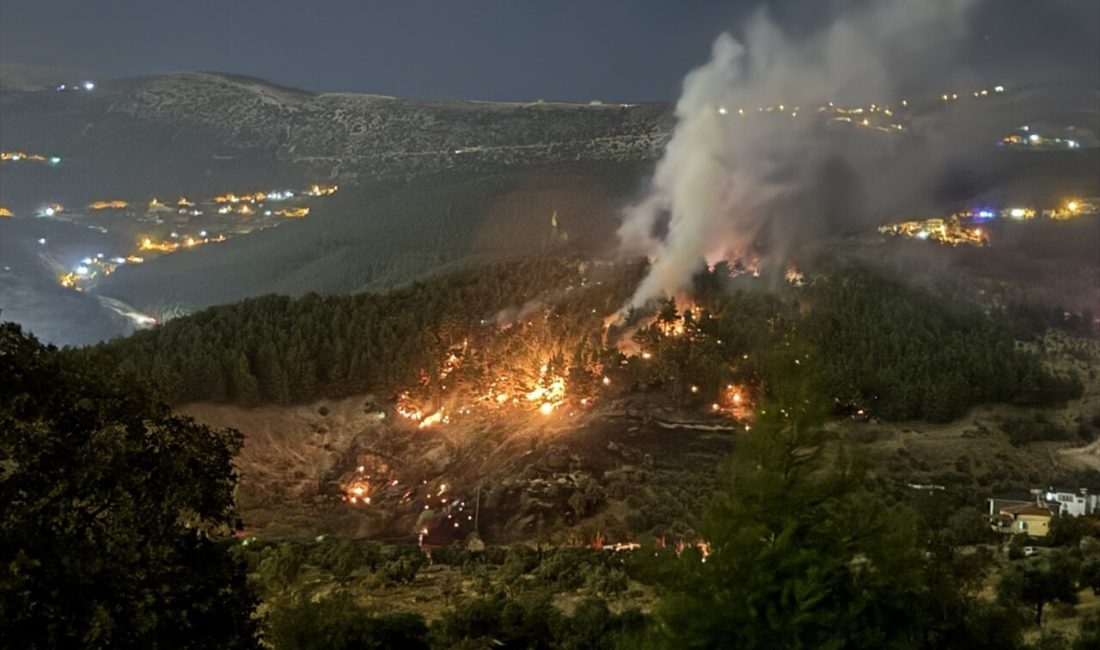 Dulkadiroğlu'nda çıkan orman yangını,