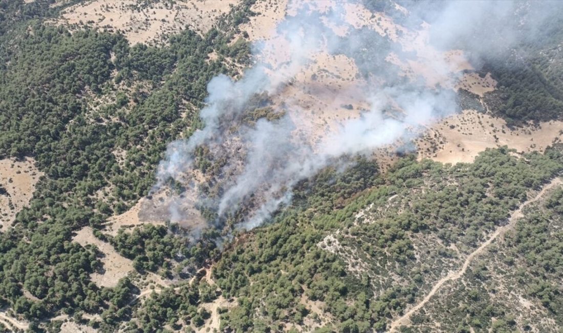 Antalya'nın Kaş ilçesinde çıkan