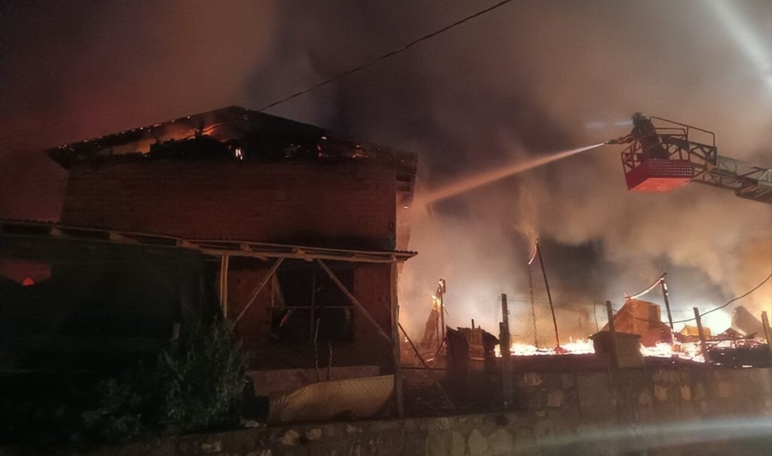 Kastamonu'nun Tosya ilçesinde çıkan