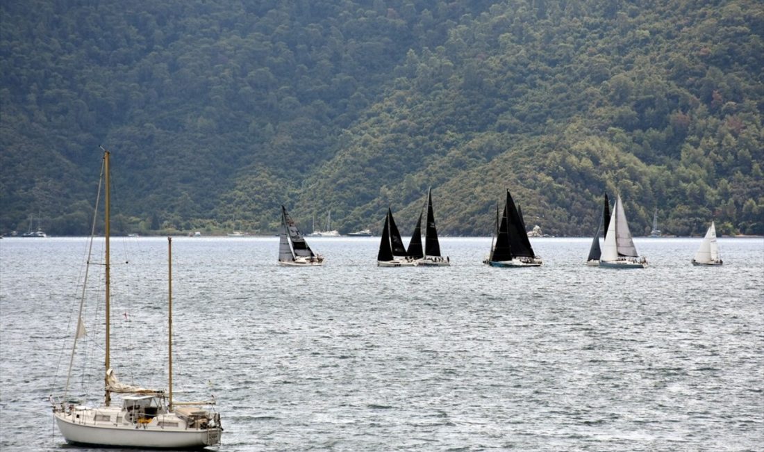 Marmaris'te düzenlenen Kırlangıç Kupası,