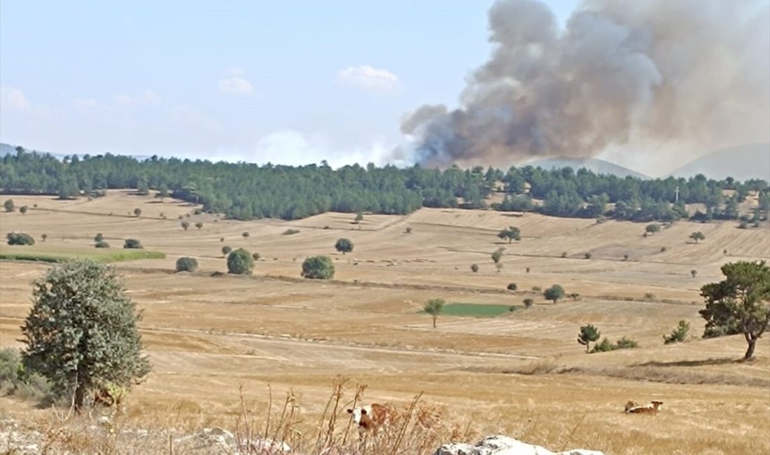 Kütahya'nın Aslanapa ilçesinde anız