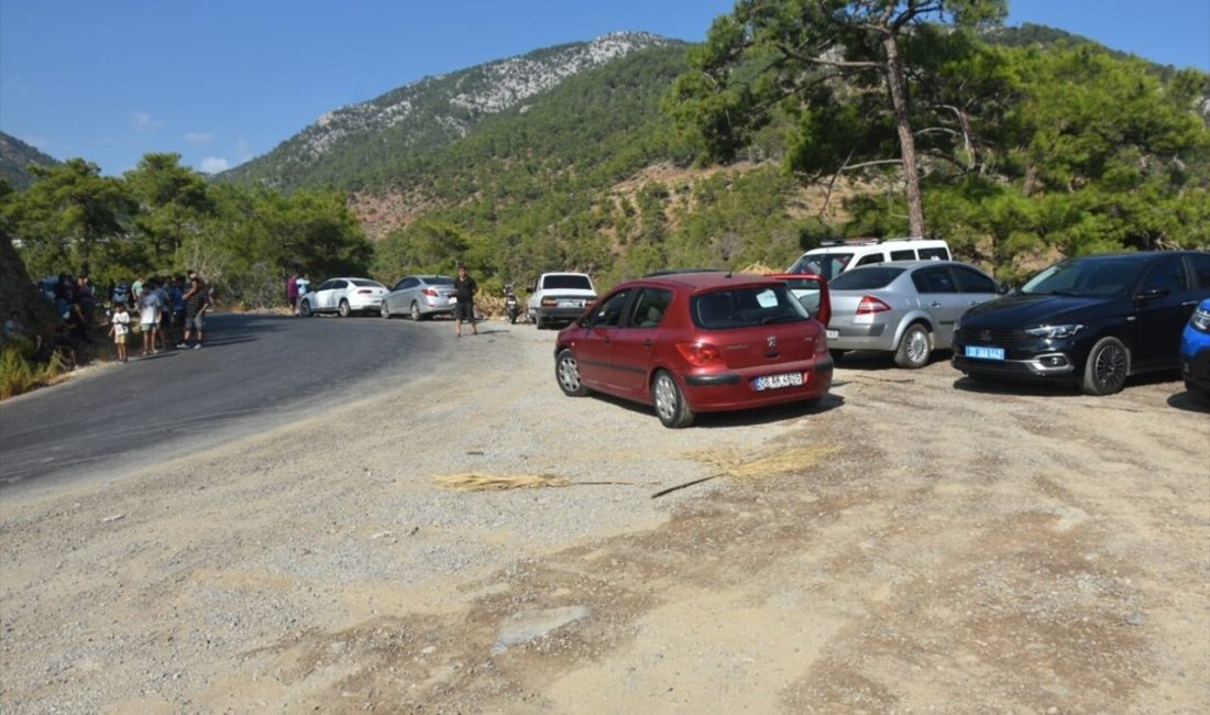 Mersin'in Gürlevik Mahallesi'ndeki çöp