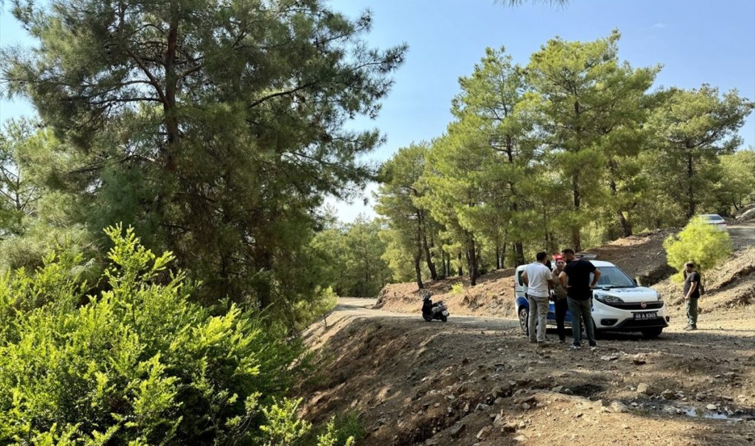 Muğla'nın Fethiye ilçesinde ormanda