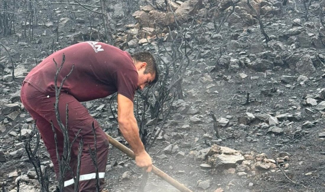 Muğla'da düşen yıldırımlar nedeniyle