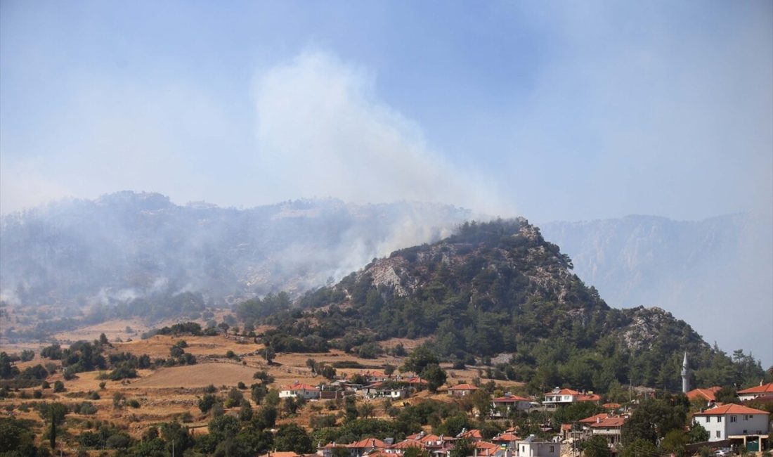 Muğla'daki orman yangınına karşı