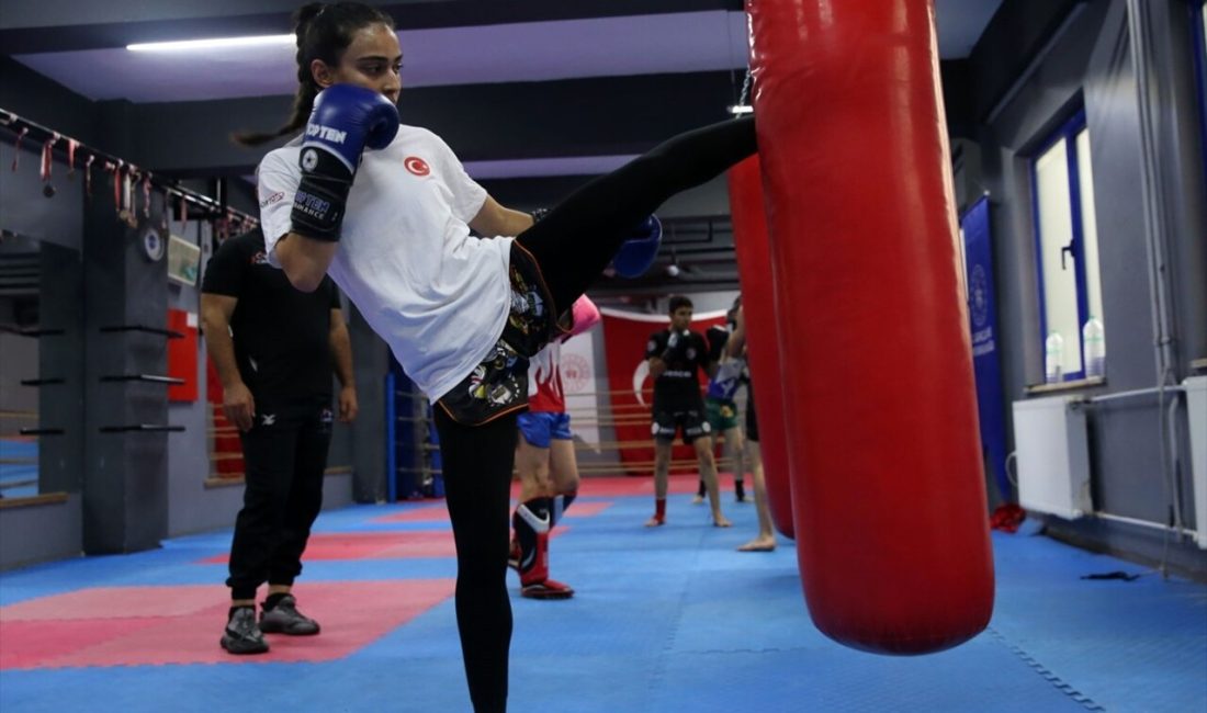 Dünya şampiyonu kick boks