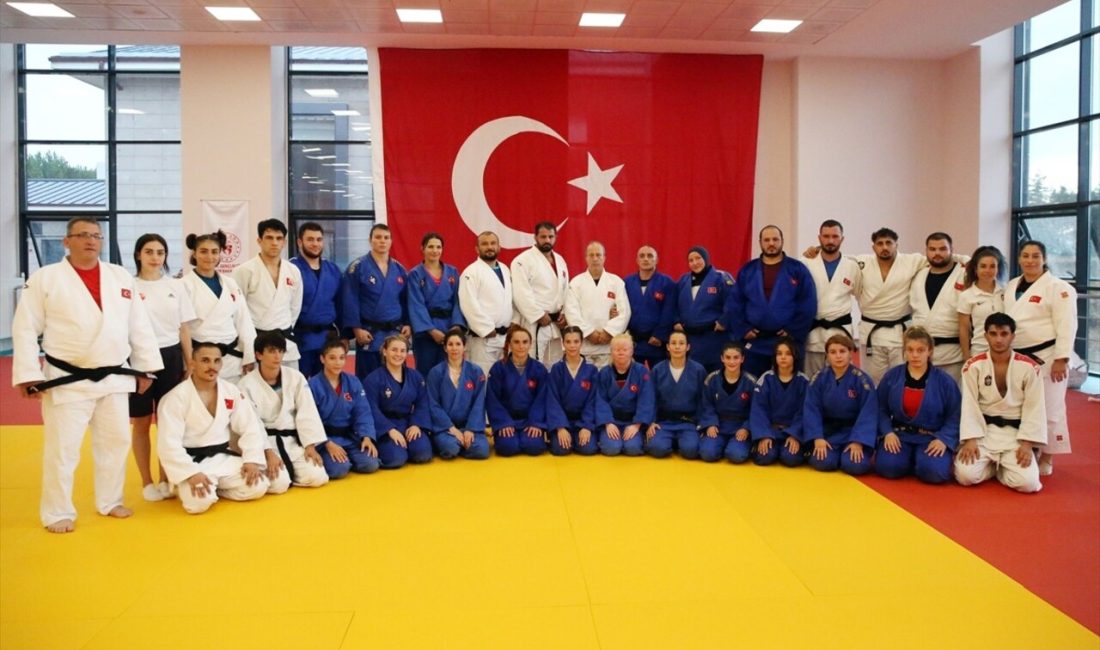 Türkiye'nin Judo Milli Takımı,