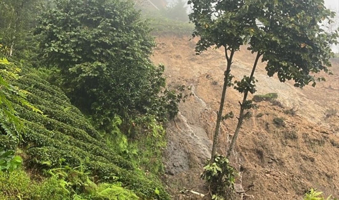 Rize'nin dereleri taştı ve