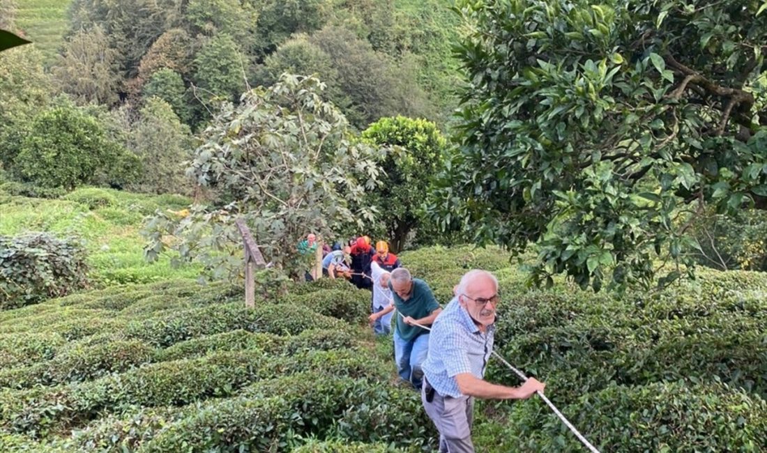 Rize Pazar'da ilkel teleferiğin