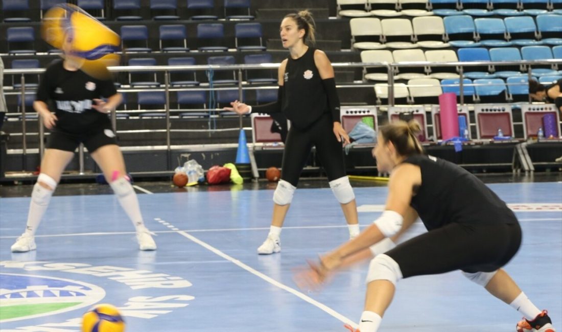 Sakarya Voleybol, Sultanlar Ligi'ne