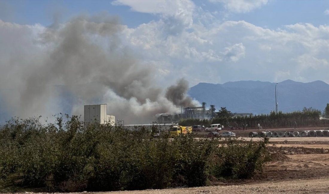 Sakarya'nın Hendek ilçesindeki makarna