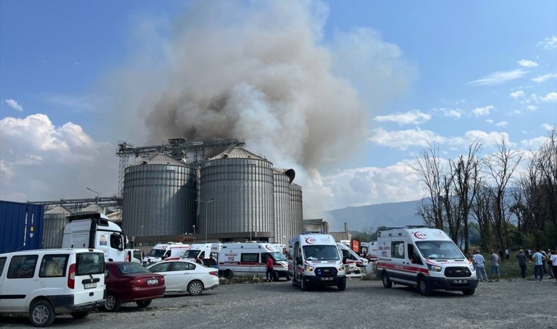 Sakarya'nın Hendek ilçesindeki makarna