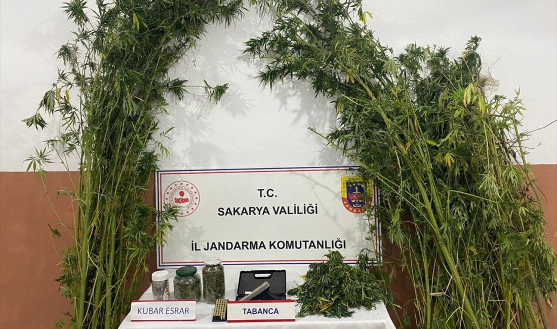 Sakarya'da gerçekleştirilen uyuşturucu baskınlarında