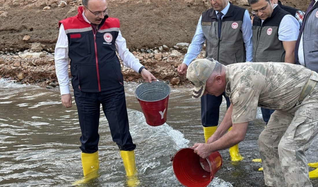 Siirt'te, balıkçılığı geliştirmek amacıyla