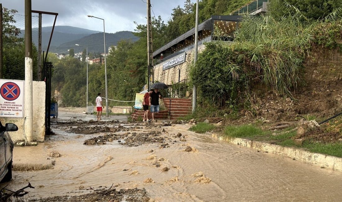 Sinop'un Gerze ilçesinde meydana