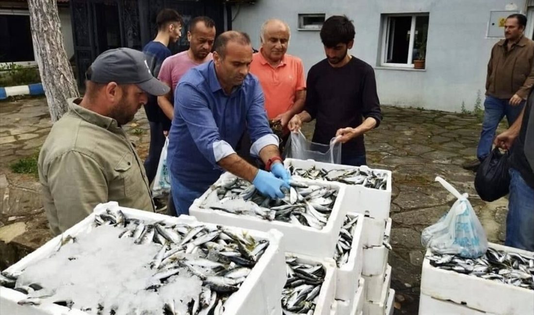 Sinop'un Ayancık ilçesinde kaçak