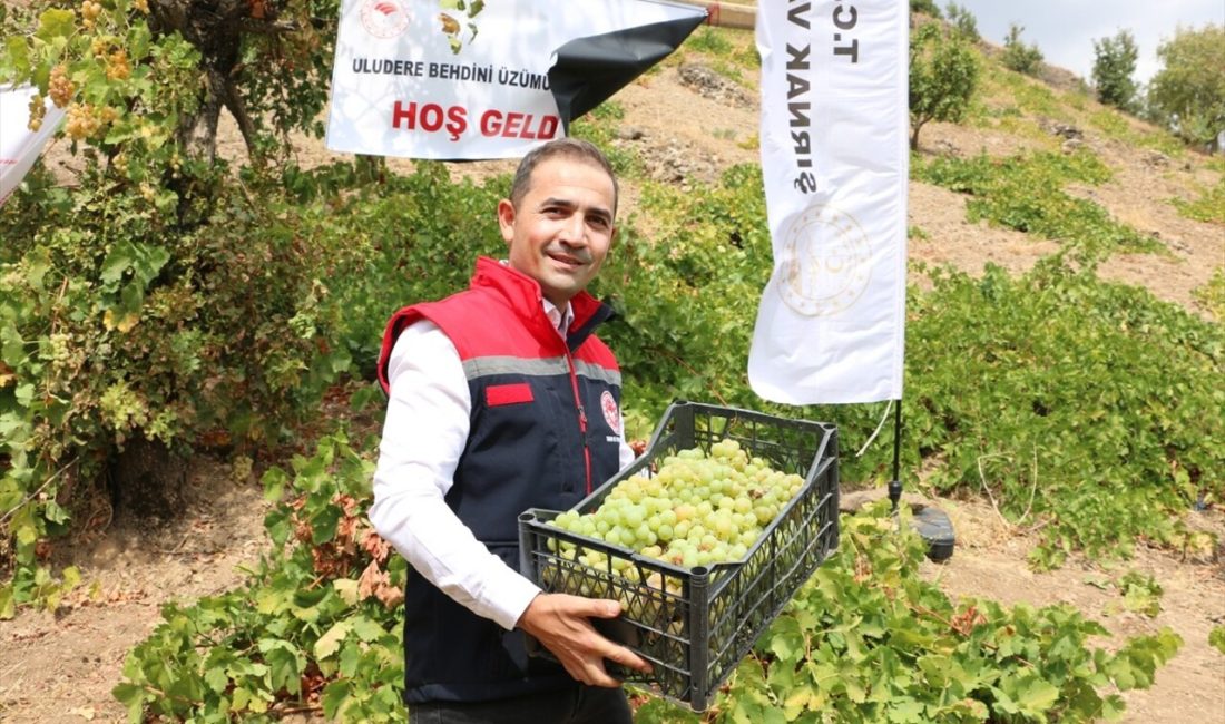 Şırnak'ın Uludere ilçesinde düzenlenen