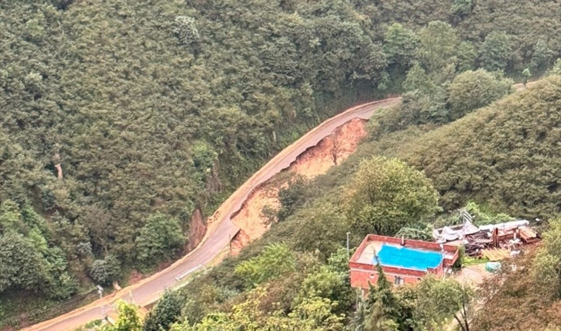 Trabzon Valisi, Sürmene'de meydana