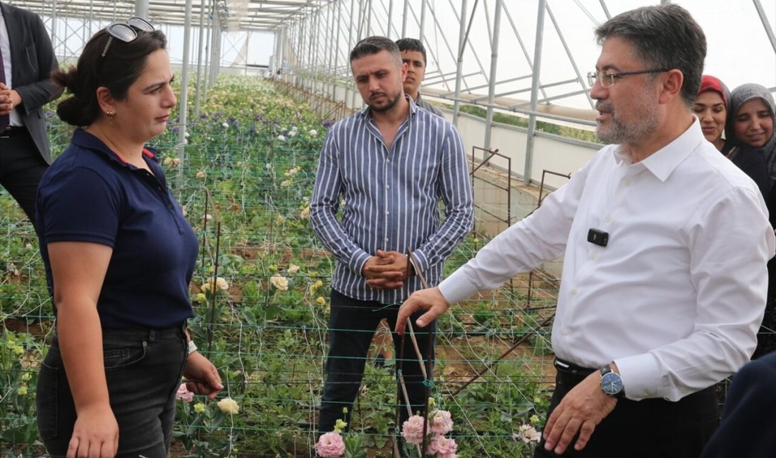 Bakan Yumaklı, Tokat'ta gıda