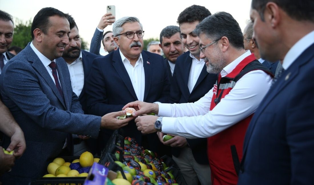 Bakan Yumaklı, Hatay'da narenciye