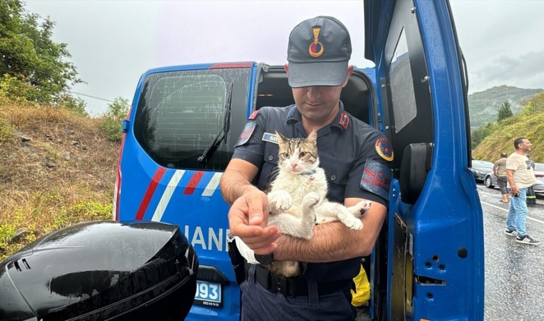 Zonguldak’ta meydana gelen kazada