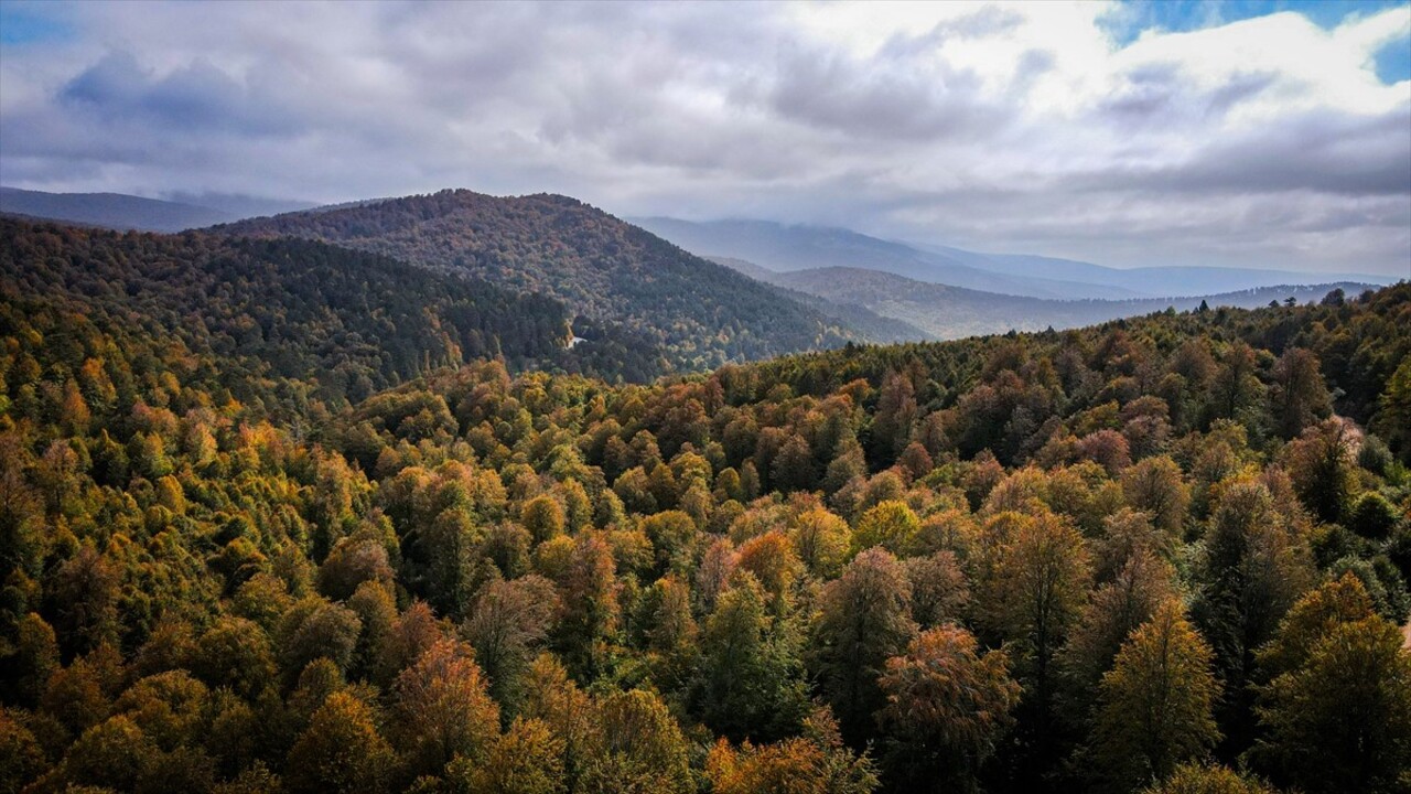 Kütahya ile Bursa il sınırları arasındaki Domaniç Dağları'nda sonbaharın renkleri, sis bulutuyla...