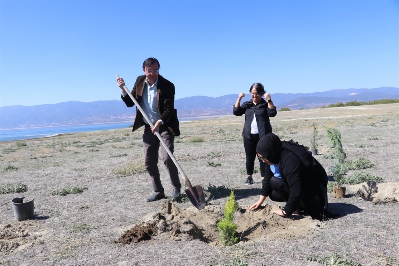 Burdur'da görev yapan gazeteciler, kuruma tehdidi altındaki Burdur Gölü çevresinde ağaç dikme...