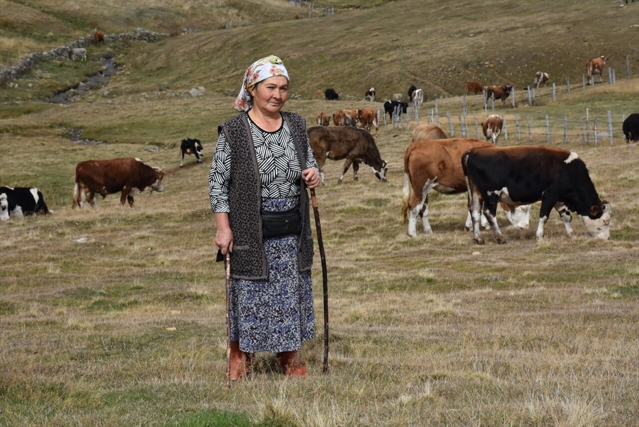 Ordu'da 58 yaşındaki Gülseren Türker, 40 yıldır Çambaşı Yaylası'na bağlı Soğanözü Obası'nda...